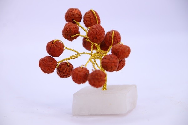 Rudraksha 15 Beads Small tree